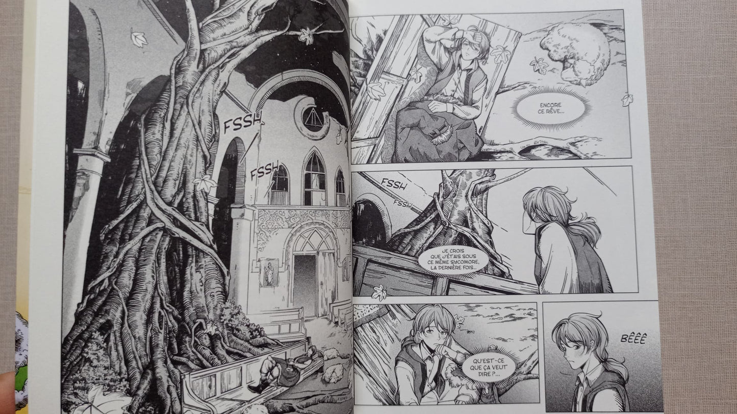 L'Alchimiste - Adaptation graphique