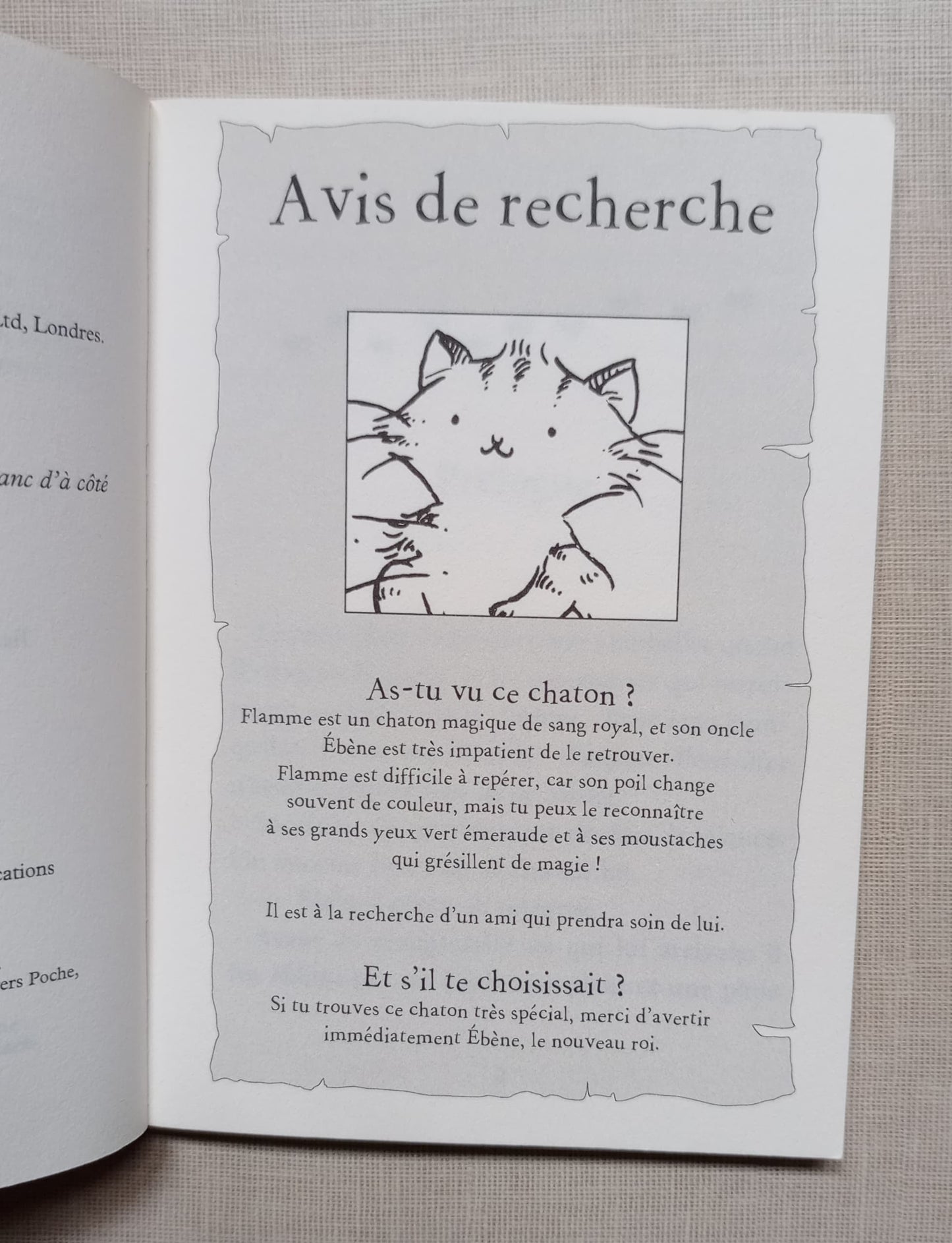 Les chatons magiques - tome 06 : Au cirque (06)