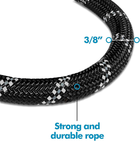 Edipets, Laisse pour chien, Laisses pour chien, pour chiot, petit,...