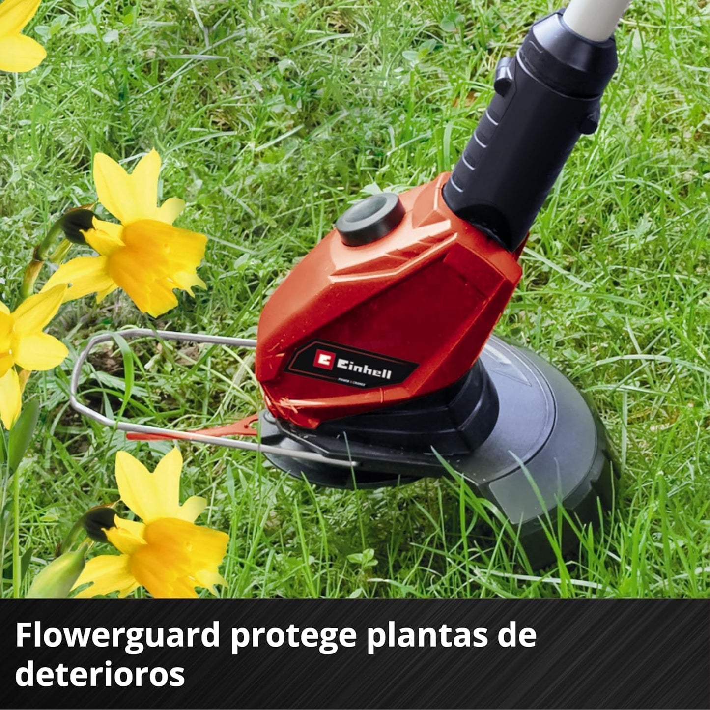 Coupe-bordures sans fil Einhell - GE-CT 18 Li Solo (18 V, largeur de...