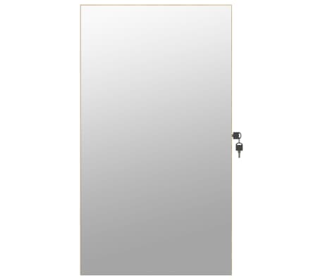 vidaXL Espejo con joyero y luces LED para pared