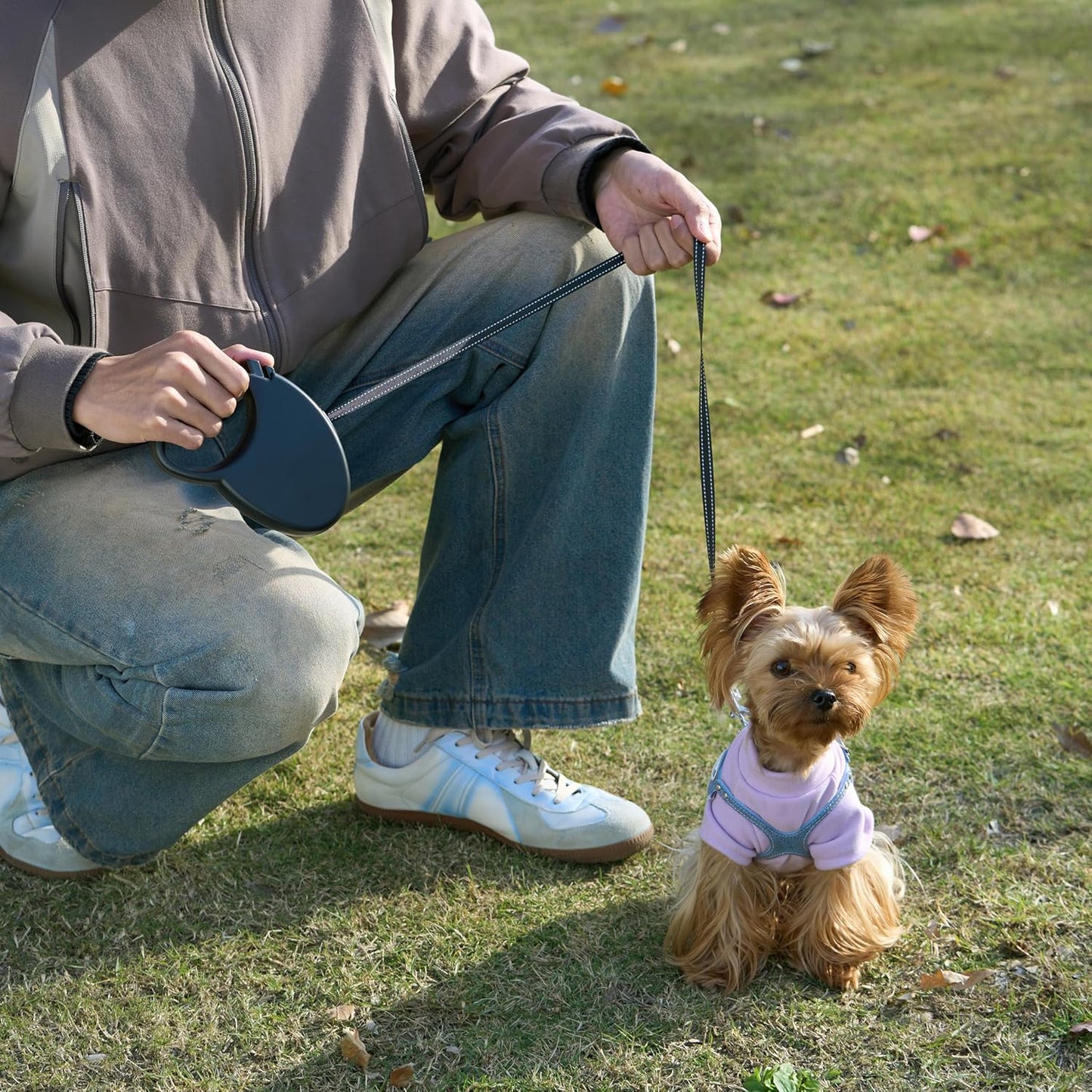 Amazon Basics Laisse rétractable pour chien, longueur extensible de 5...