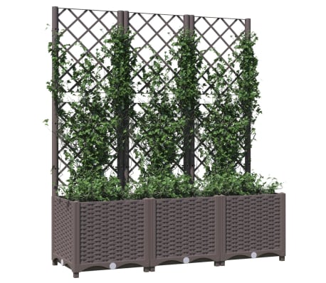 Terrasse et Jardin
