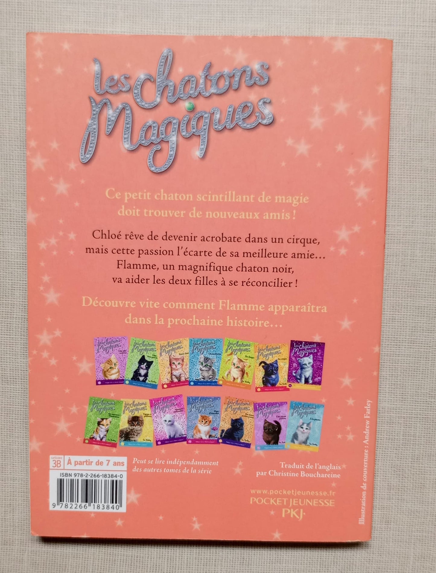 Les chatons magiques - tome 06 : Au cirque (06)