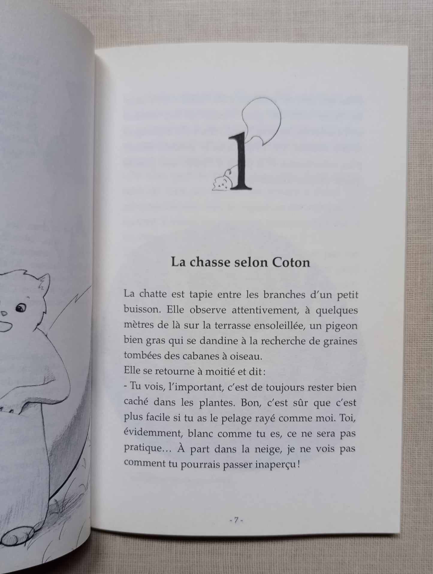 Les aventures du chat Coton - Mission : un jardin à sauver