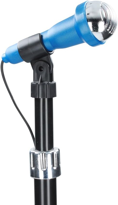 REIG- Ensemble avec Guitare, Microphone et Haut-Parleur, Multicolore,...