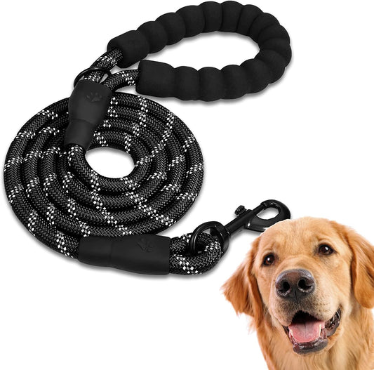 Edipets, Laisse pour chien, Laisses pour chien, pour chiot, petit,...