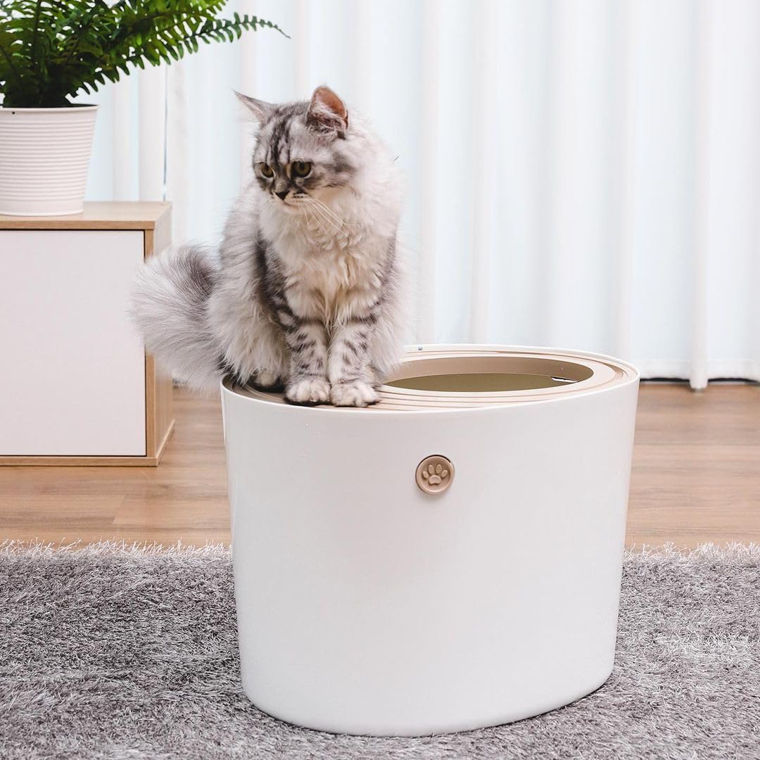 Iris Ohyama, grand panier en plastique avec un fournisseur, y compris...