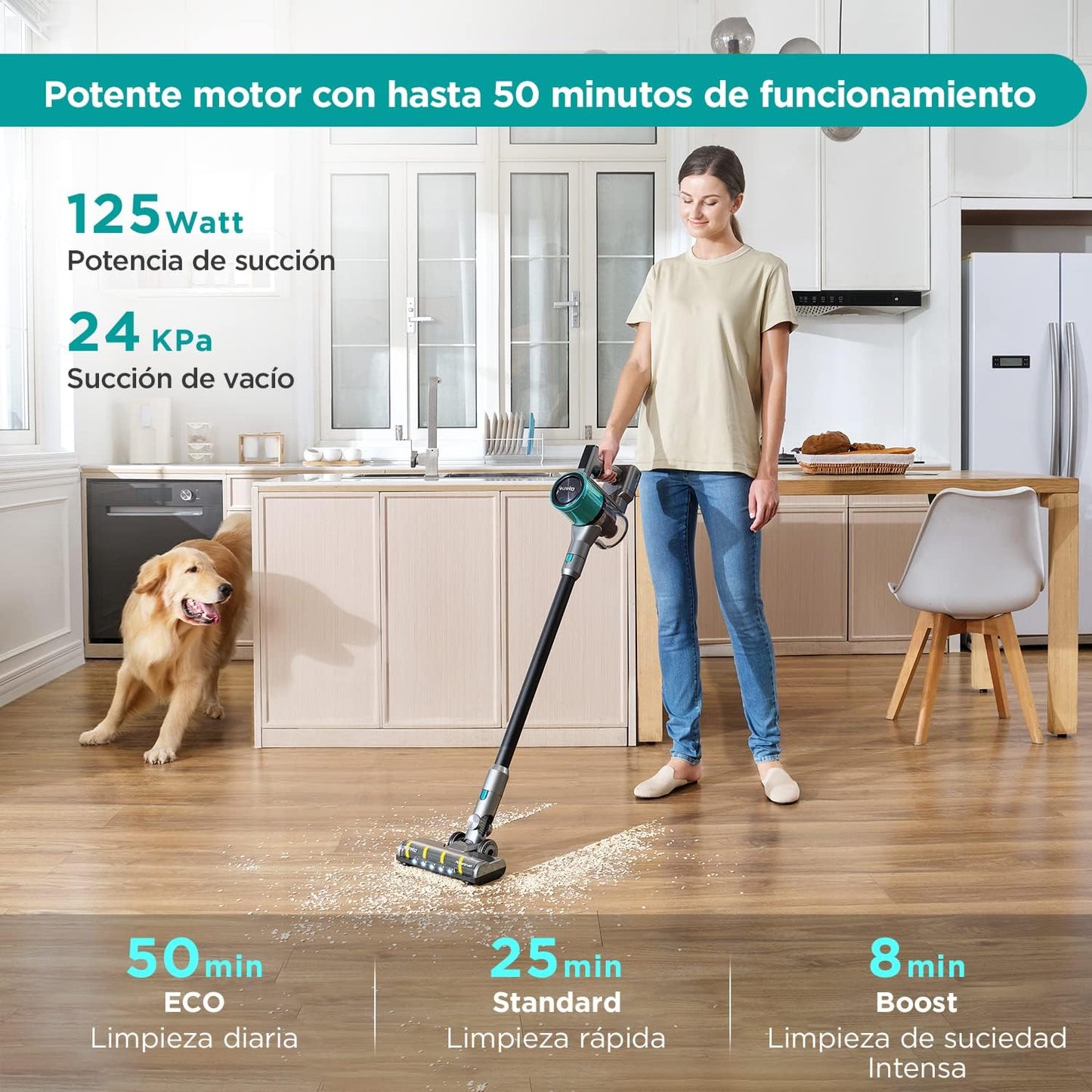 Eureka AK9 Aspirateur sans fil, aspirateur à main avec moteur 350 W...