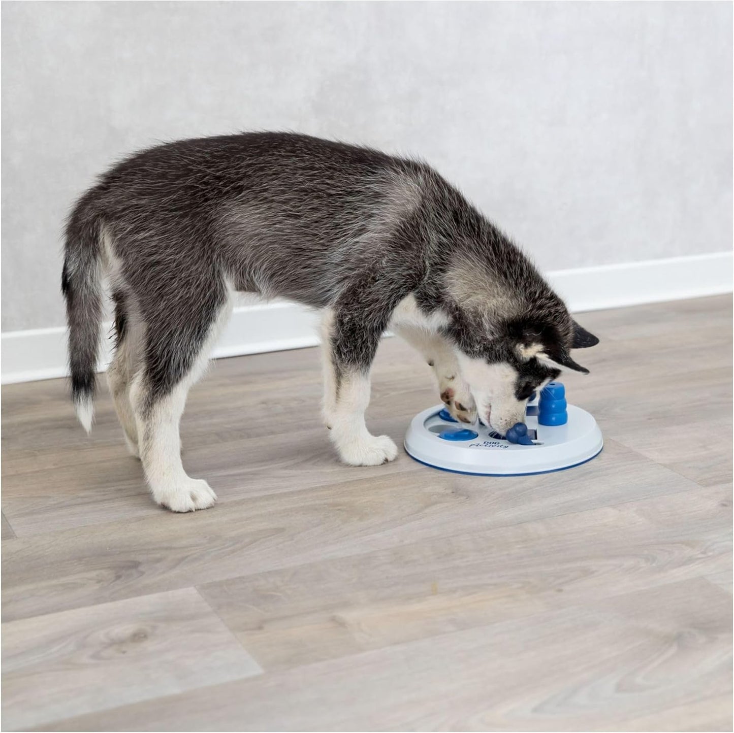 Jouet d'activité pour chien TRIXIE Intelligence «Jeu de stratégie Dog...