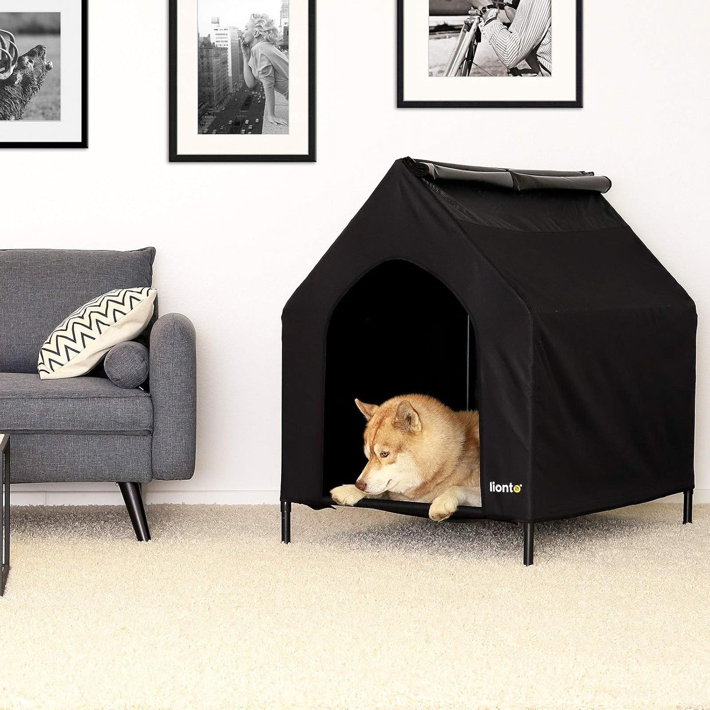 Lionto Lit surélevé pour chien avec toit pour chien (M) 110 x 75 x...