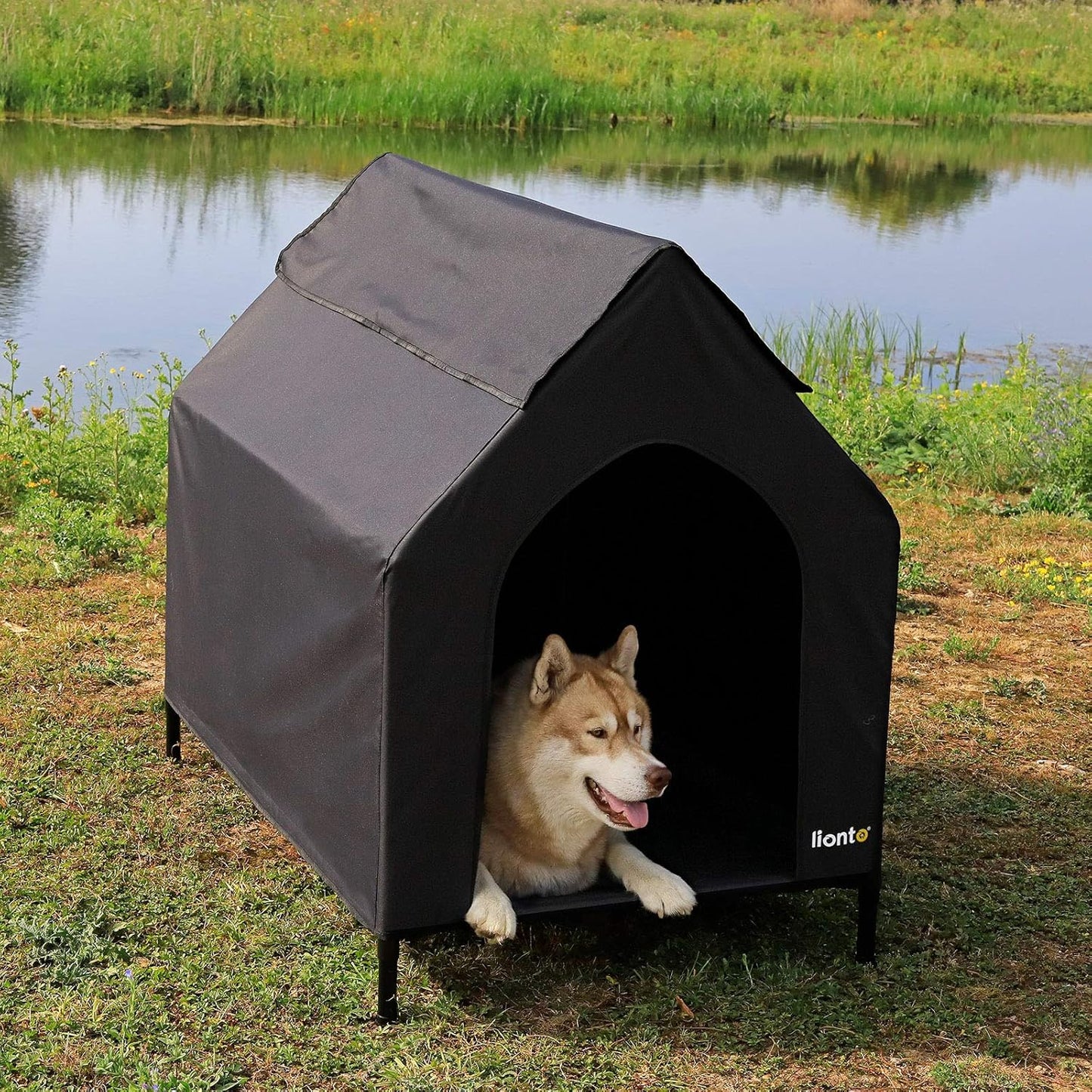 Lionto Lit surélevé pour chien avec toit pour chien (M) 110 x 75 x...