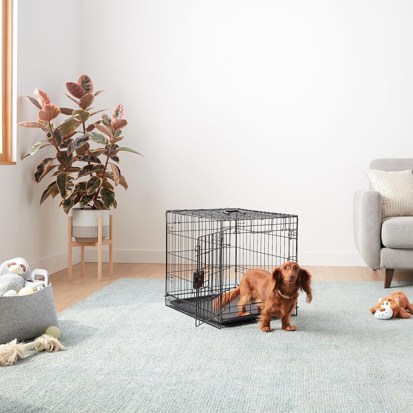 Amazon Basics Cage pour chien en fil métallique durable, pliable avec...